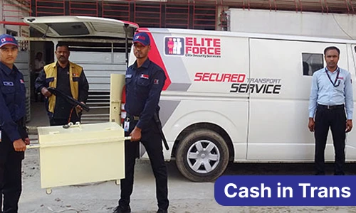 Cash in Trans